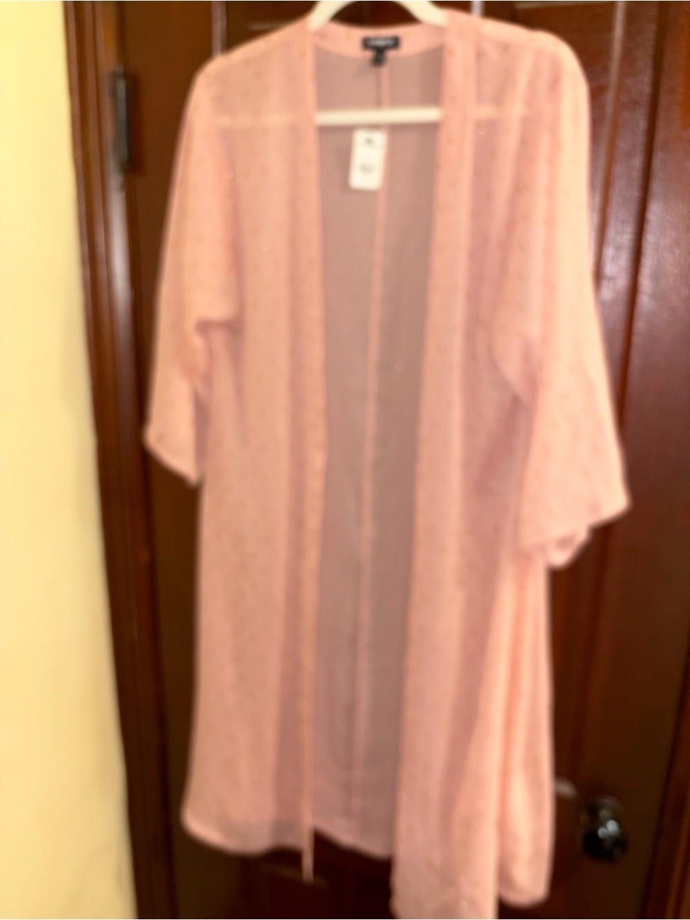 Express Sheer Blush Pink Open-Front Kimono Robe